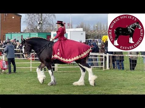 shire horse show 2022.